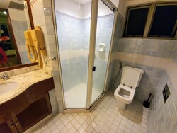 Cavenagh Lodge (D9), Apartment #273067691